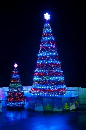 Комплект светодинамического освещения Северное сияние для елей высотой 8 м., Green Trees (Sev8) в Екатеринбурге