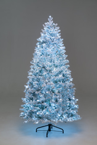 Искусственная елка Алтайская заснеженная 240 см., 570 холодных-белых Led ламп, 100% литая хвоя, ЕлкиТорг (177240)