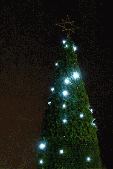 Комплект гирлянд Звездное небо для елей высотой 5 м., холодный белый, Green Trees (ZNeb5) в Екатеринбурге