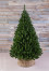 Ель Вирджиния зеленая 230 см, мягкая хвоя, Triumph Tree (73571) в Екатеринбурге