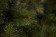 Елка Лесная Красавица 305 см., интерьерная, леска+пвх, Triumph Tree (73494) в Екатеринбурге