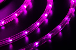 Дюралайт светодиодный 2-х проводной, диаметр 10 мм., 220В, розовый LED лампы 30 шт на 1 м., бухта 100 м., статика, Teamprof (TPF-DL-2WH-100-10mm-240-P)