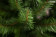 Сосна Рождественская 215 см., мягкая хвоя, Triumph Tree (73276) в Екатеринбурге